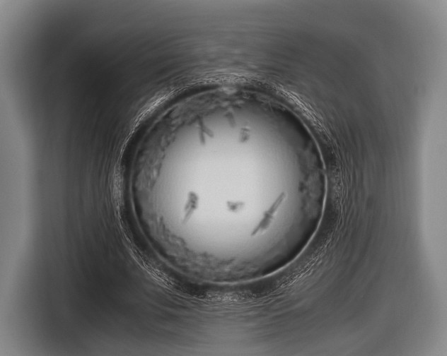 X0000116620679200912181305