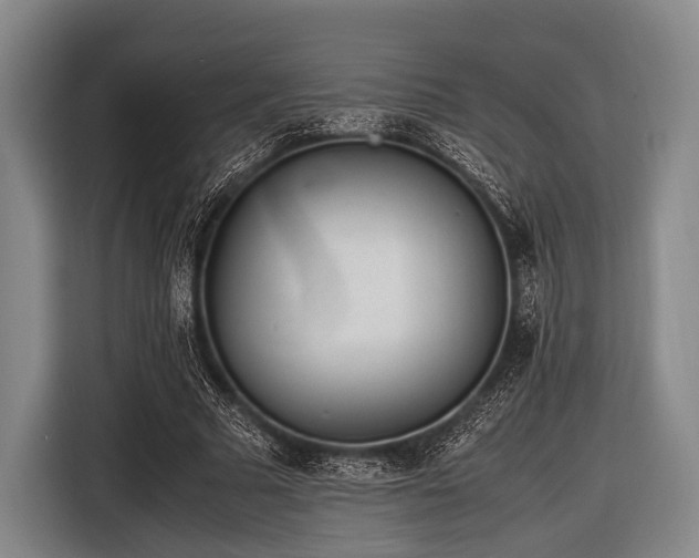 X0000116620681200912181305