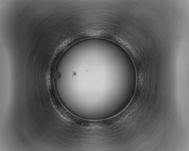 X0000116620682200912181305