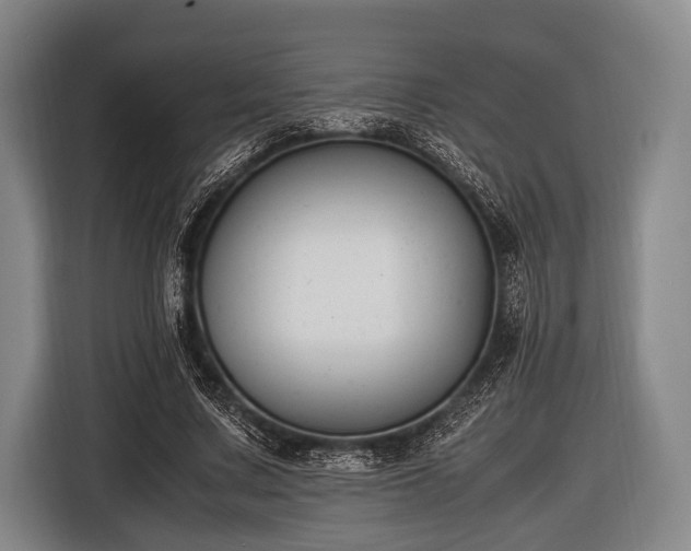 X0000116620683200912181305