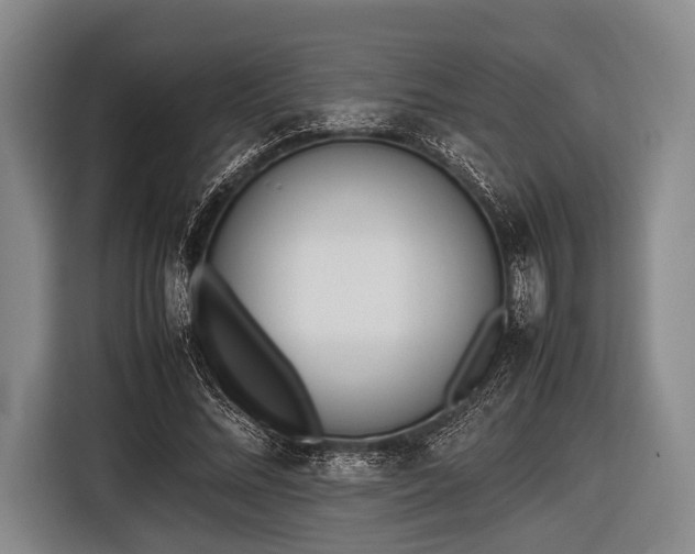 X0000116620684200912181305