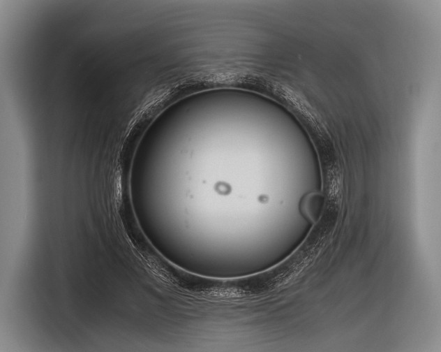 X0000116620685200912181305