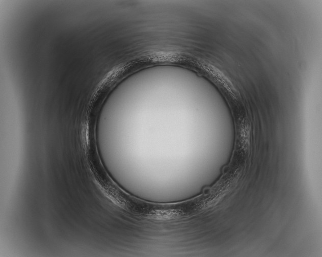 X0000116620686200912181305