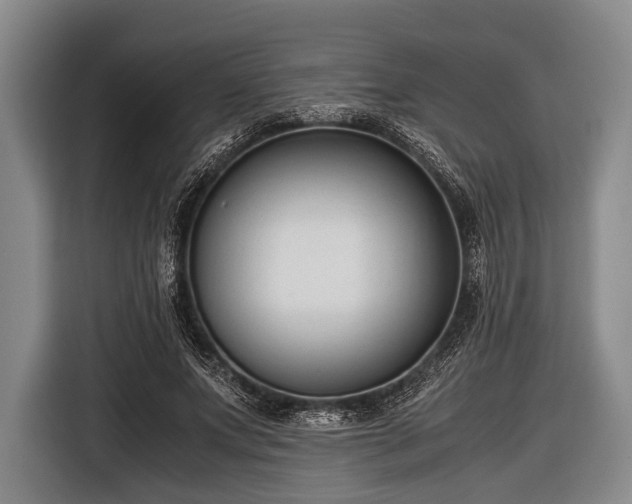 X0000116620687200912181305