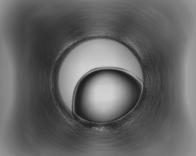 X0000116620688200912181305