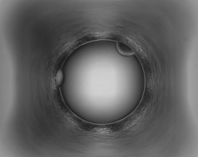 X0000116620689200912181305