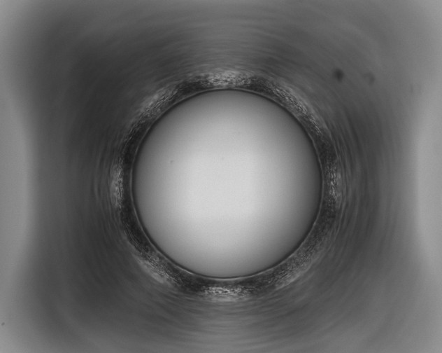 X0000116620690200912181305