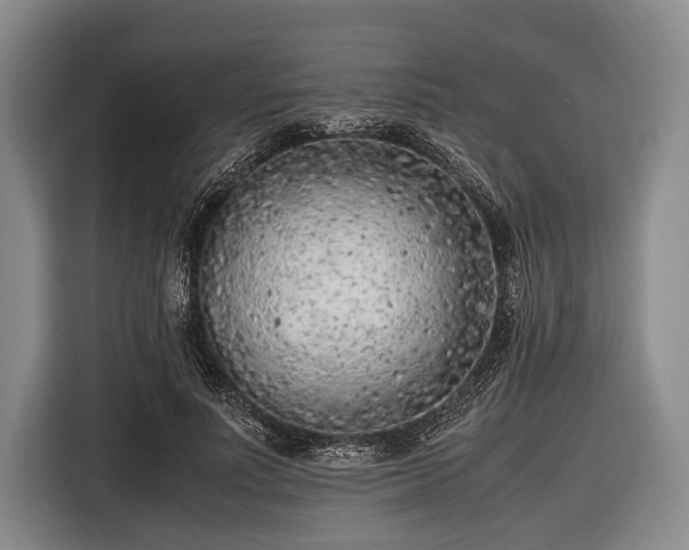 X0000116620691200912181305