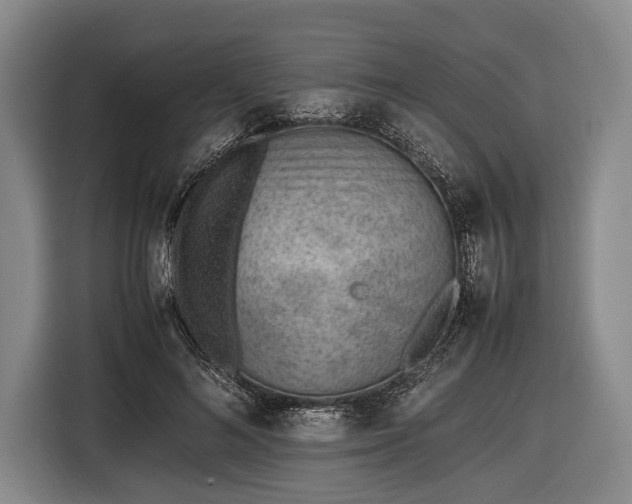 X0000116620692200912181305