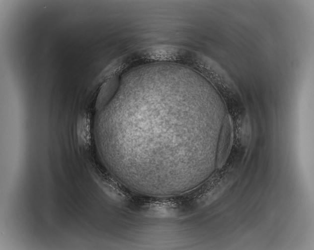 X0000116620696200912181305