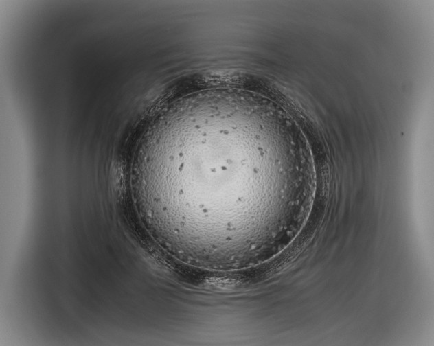 X0000116620699200912181305