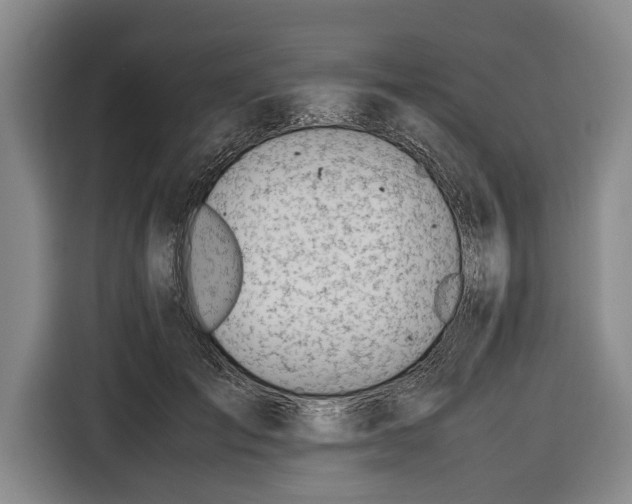 X0000116620701200912181305