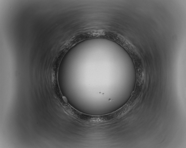 X0000116620704200912181305