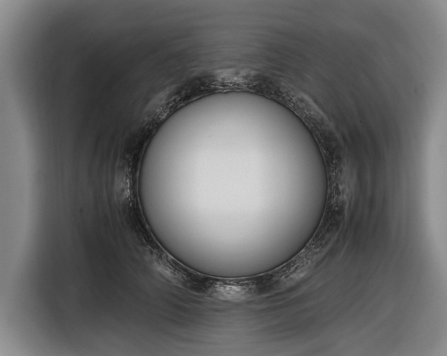 X0000116620706200912181305