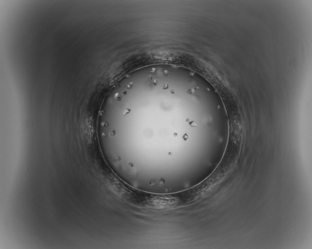 X0000116620707200912181305