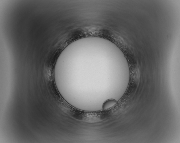 X0000116620709200912181305