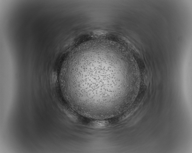 X0000116620711200912181305