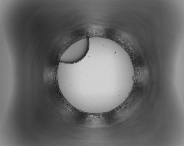 X0000116620713200912181305