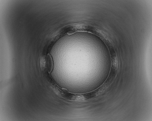 X0000116620715200912181305