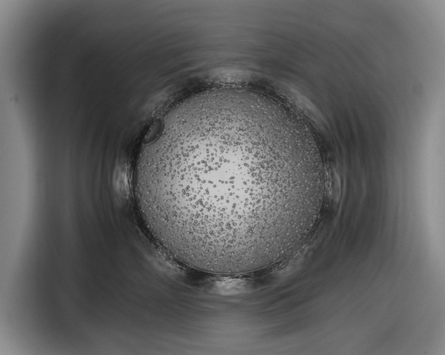 X0000116620718200912181305