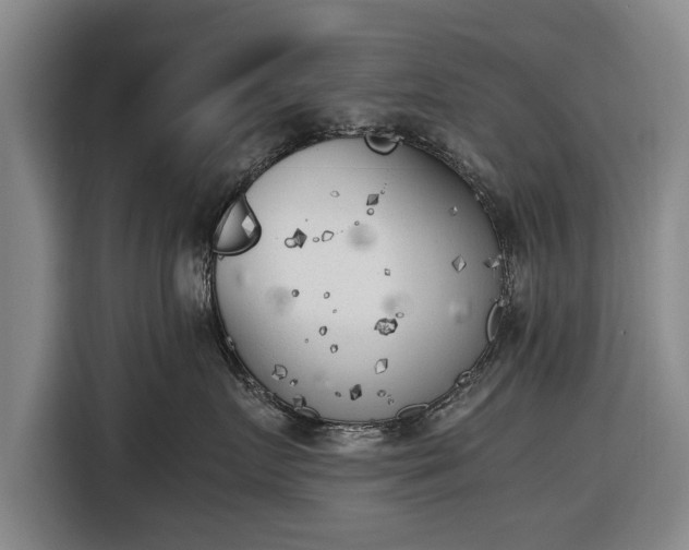 X0000116620719200912181305