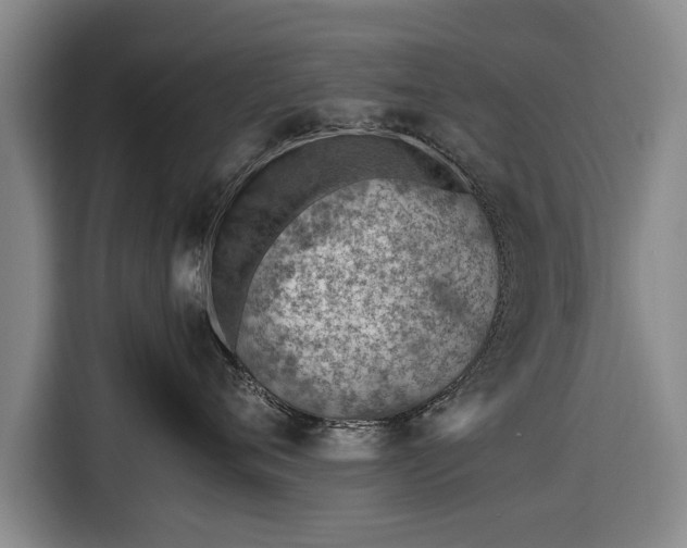 X0000116620720200912181305