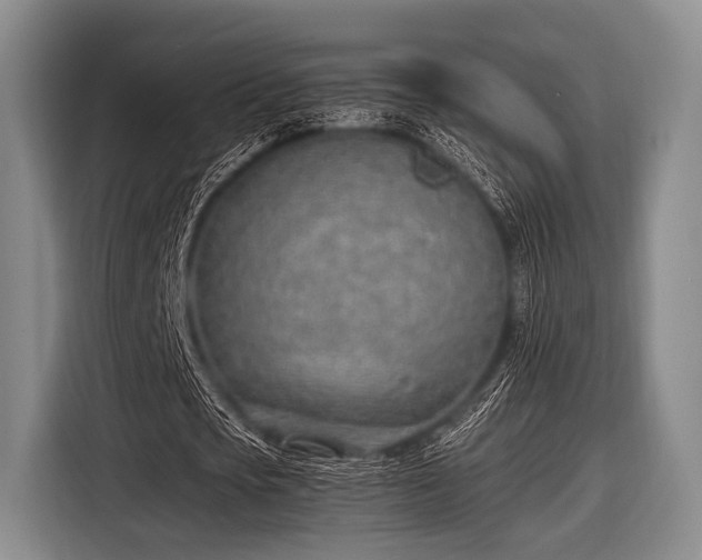 X0000116620721200912181304