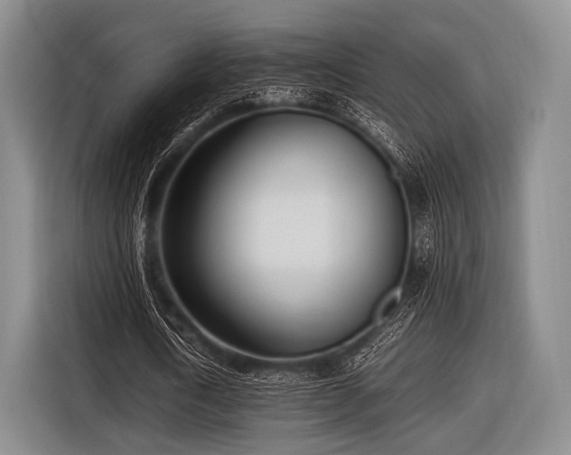 X0000116620722200912181304