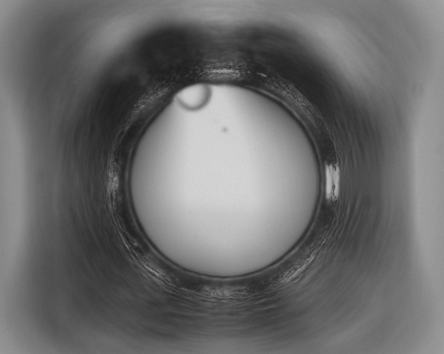 X0000116620723200912181304