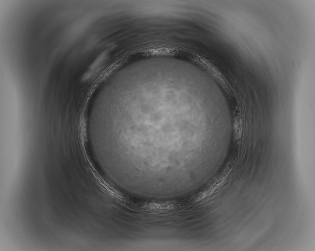 X0000116620725200912181304