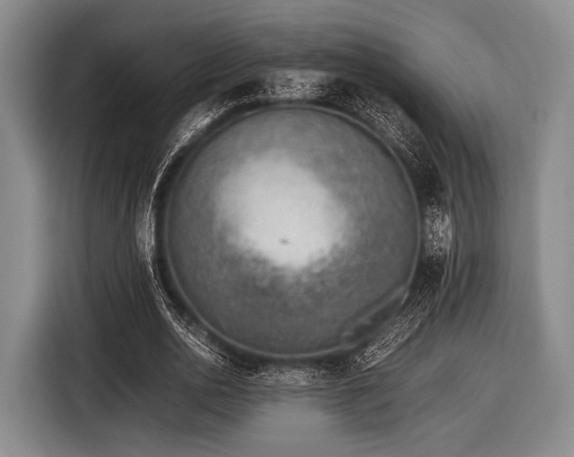 X0000116620726200912181304