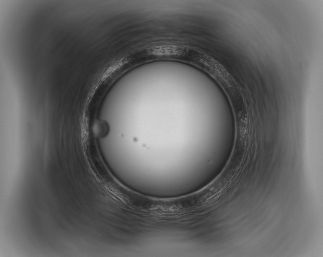 X0000116620727200912181304