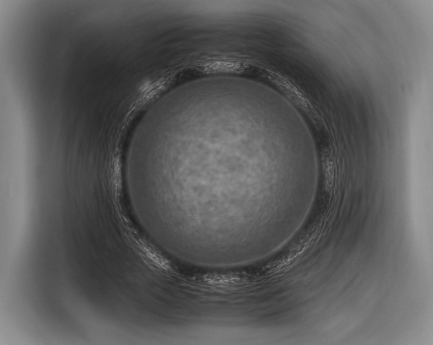 X0000116620729200912181304