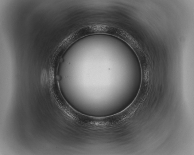 X0000116620733200912181304