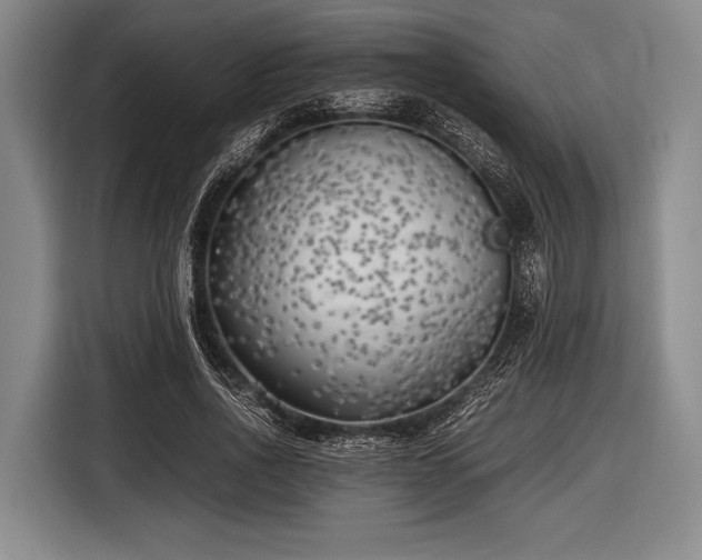X0000116620734200912181304