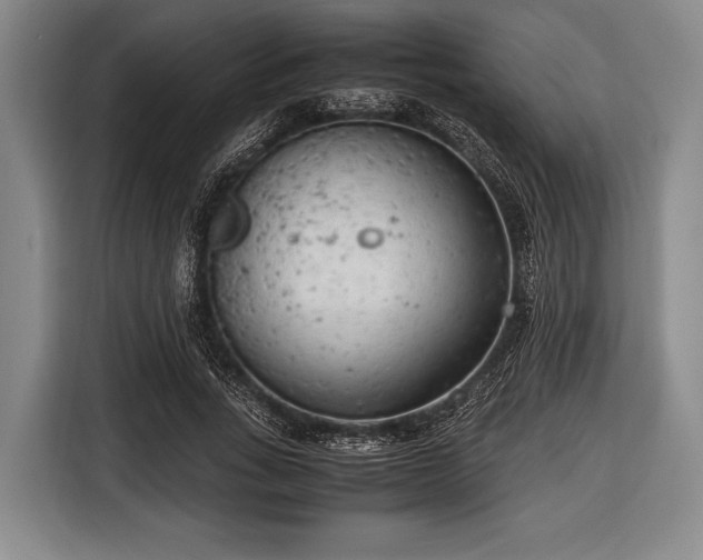 X0000116620735200912181304