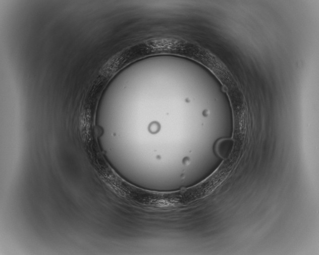 X0000116620737200912181304