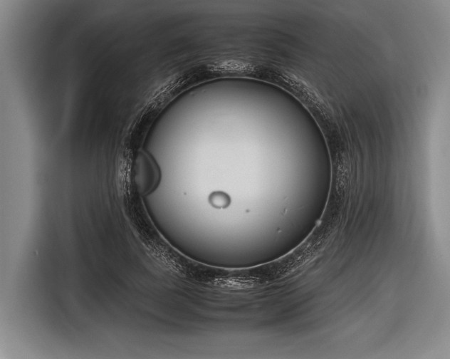 X0000116620739200912181304