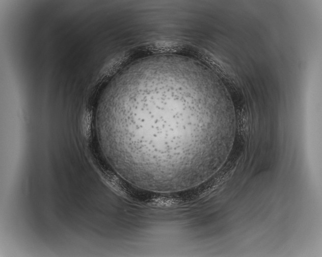 X0000116620742200912181304