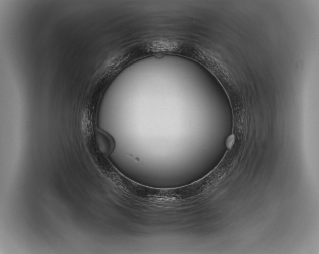 X0000116620743200912181304