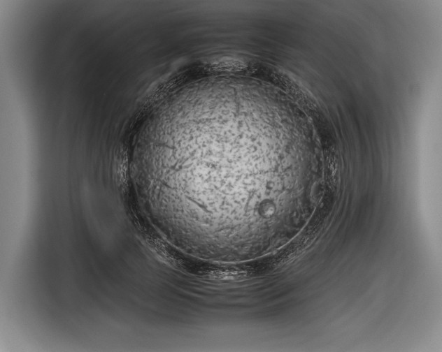X0000116620745200912181304