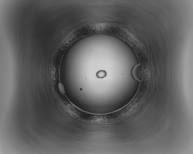 X0000116620750200912181304