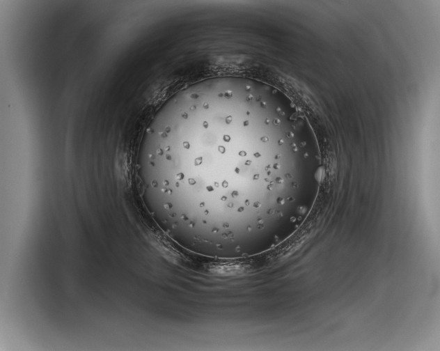 X0000116620759200912181305