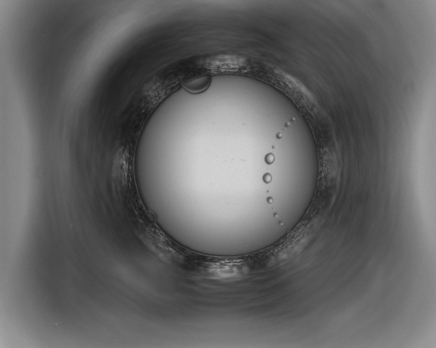 X0000116620761200912181305