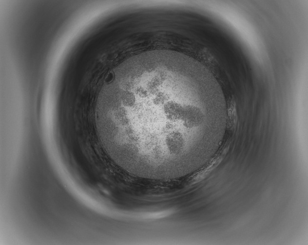 X0000116620765200912181305