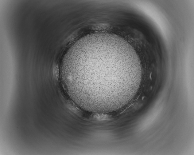 X0000116620767200912181305