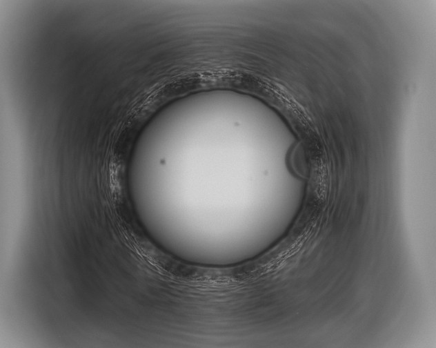 X0000116620770200912181304