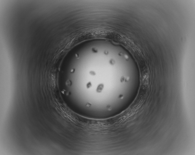 X0000116620772200912181304