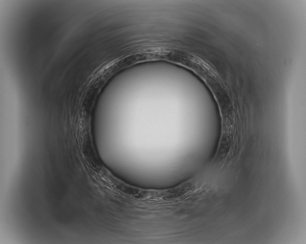 X0000116620773200912181304