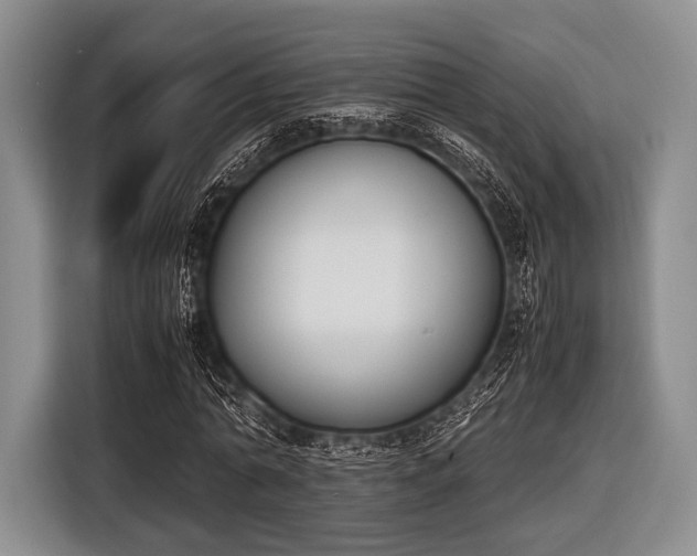 X0000116620774200912181304